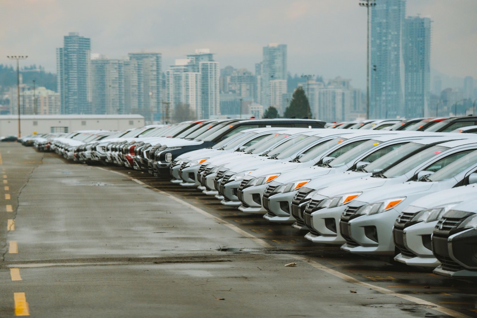 A long row of cars parked in a vehicle yard